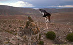 Humahuaca, Argentine 1969 :  Chupacabras ou Desmodus draculae  ?