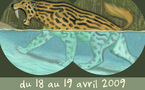 8eme Colloque Européen de Cryptozoologie