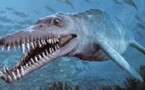 GAMBO, LA CREATURE DE SENEGAMBIE
