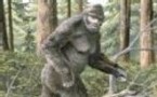 Orang Lenggor le bigfoot de malaysie bientot une preuve?
